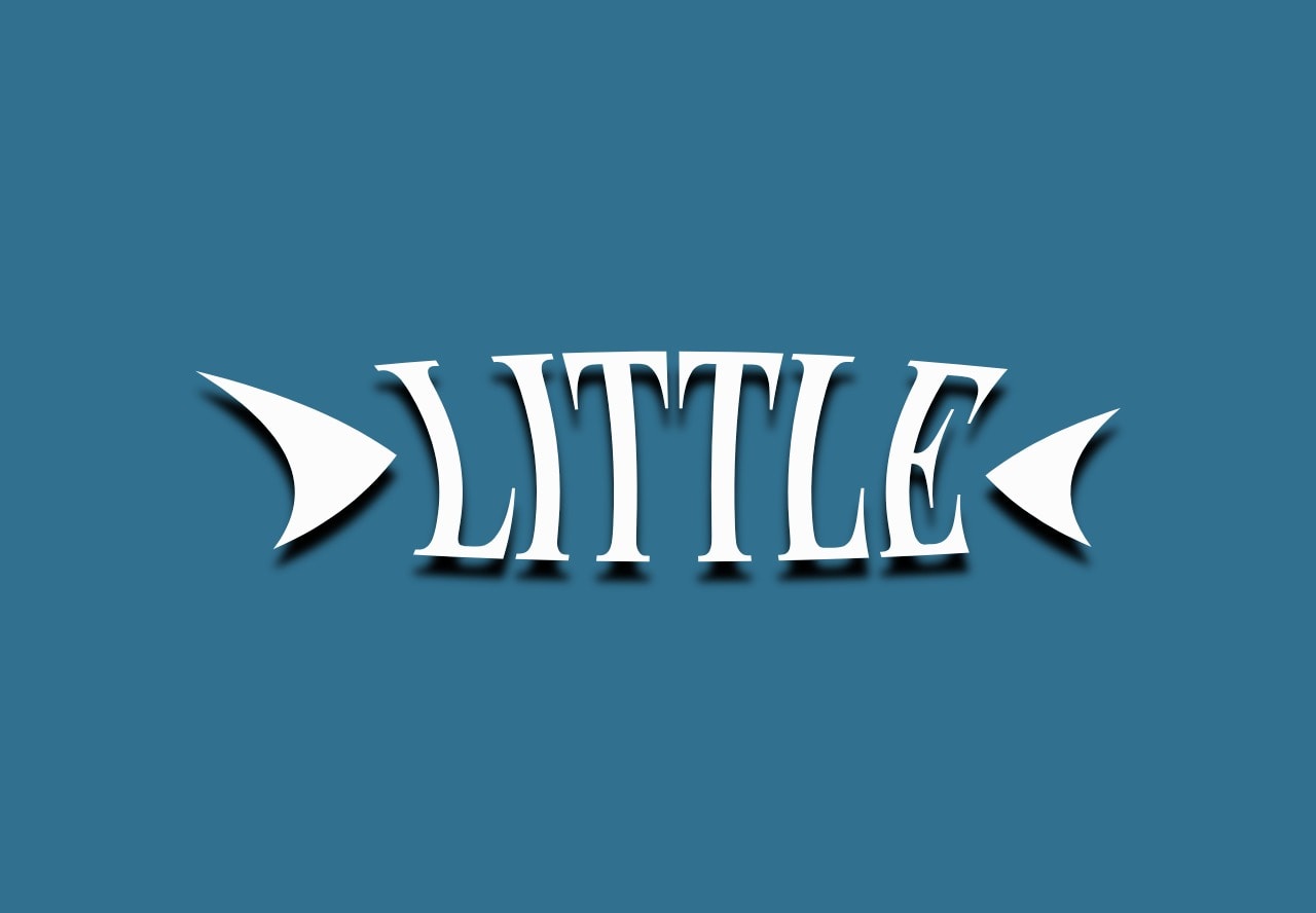 Little im Lifetime deal shorten, target, track and analyze links