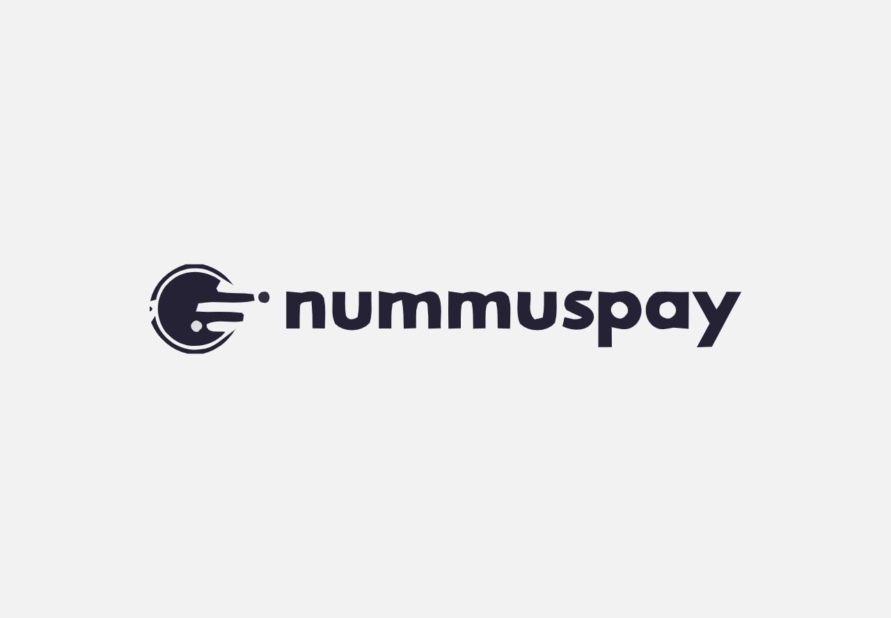 Nummspay lifetime deal payment management records