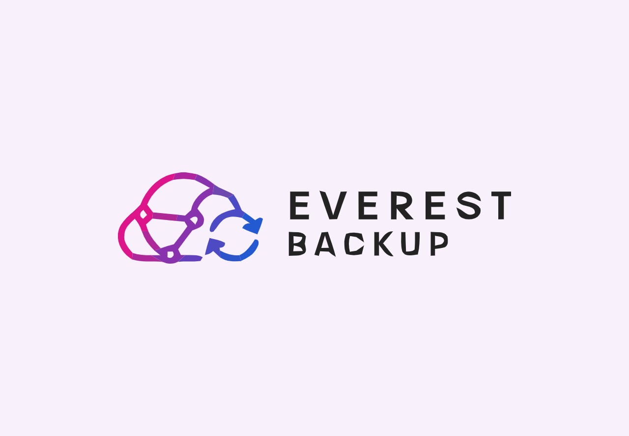 Everest Backup Lifetime Deal on Appsumo