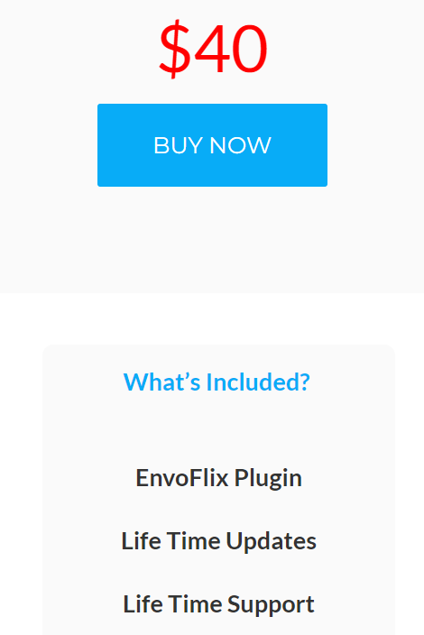 envoflix regular pricing